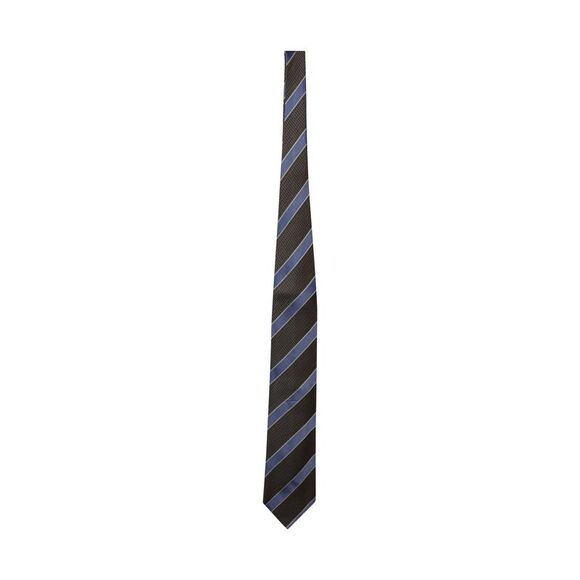 Ermenegildo Zegna Textured Stripe Tie in Multicolor Silk